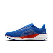 Florida Nike Zoom Pegasus 41 Shoes